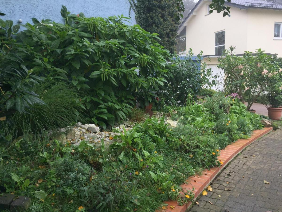 Blaues Haus Lägenhet Niederdorfelden Exteriör bild