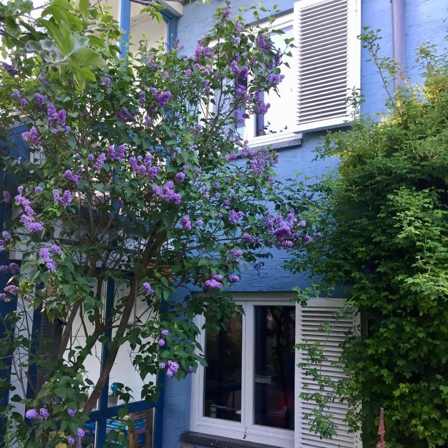 Blaues Haus Lägenhet Niederdorfelden Exteriör bild