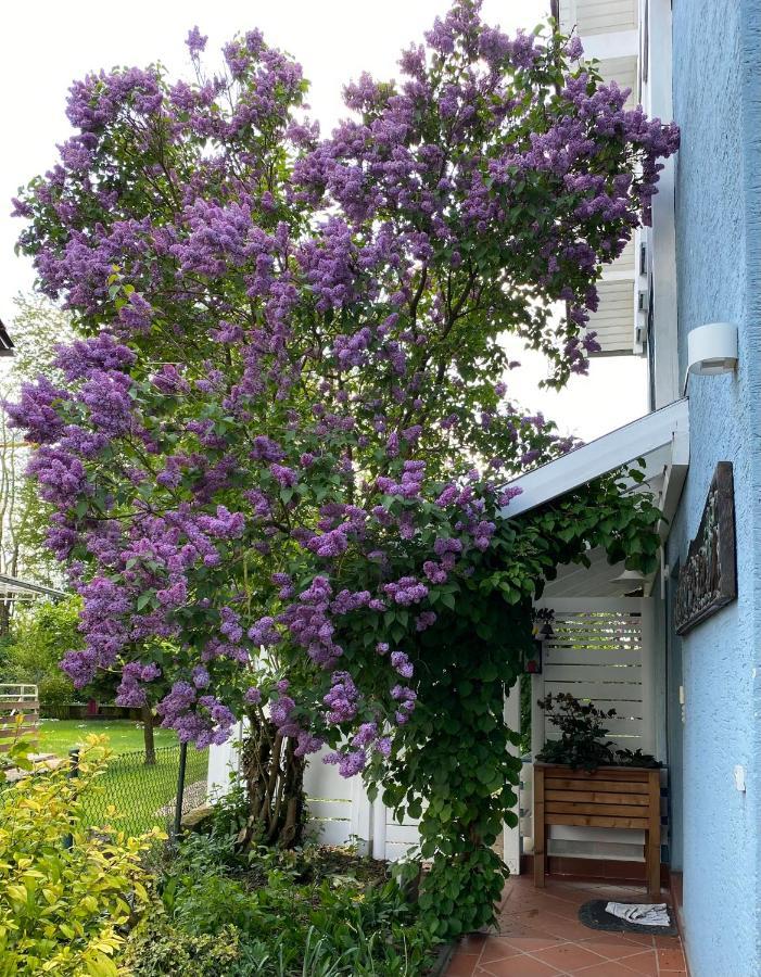 Blaues Haus Lägenhet Niederdorfelden Exteriör bild